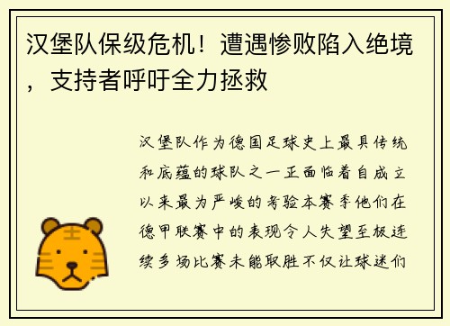 汉堡队保级危机！遭遇惨败陷入绝境，支持者呼吁全力拯救