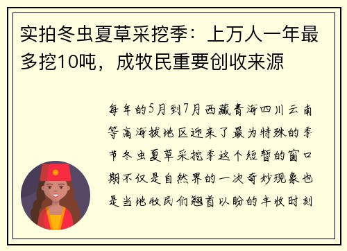 实拍冬虫夏草采挖季：上万人一年最多挖10吨，成牧民重要创收来源