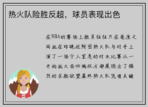 热火队险胜反超，球员表现出色